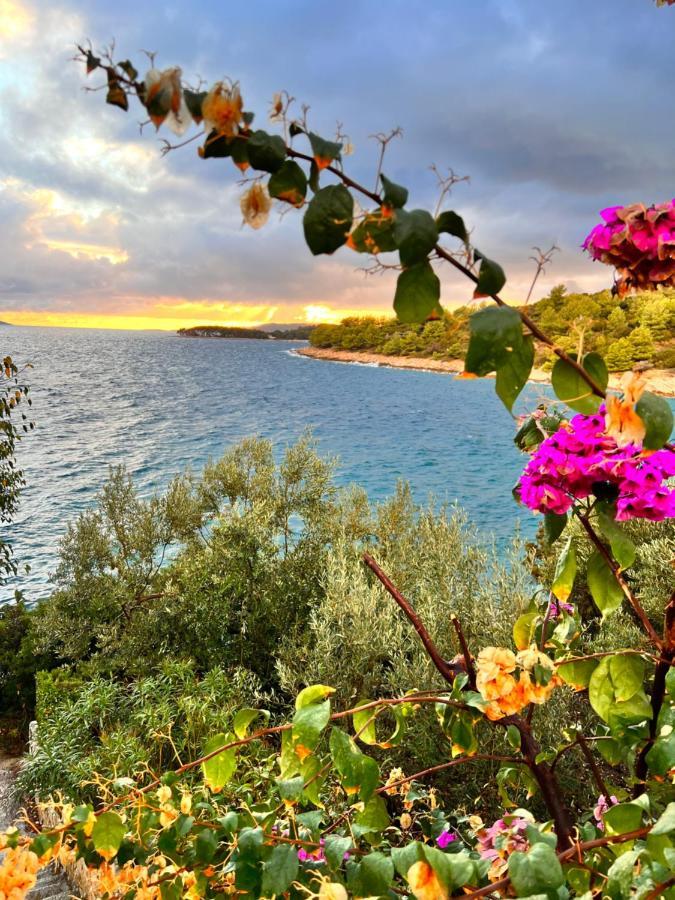 Luxury Beachfront Villa Carlisa Čiovo エクステリア 写真